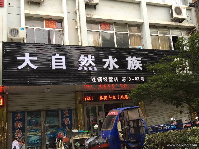 府后人家西门旁边 商住两用0厅 精装修